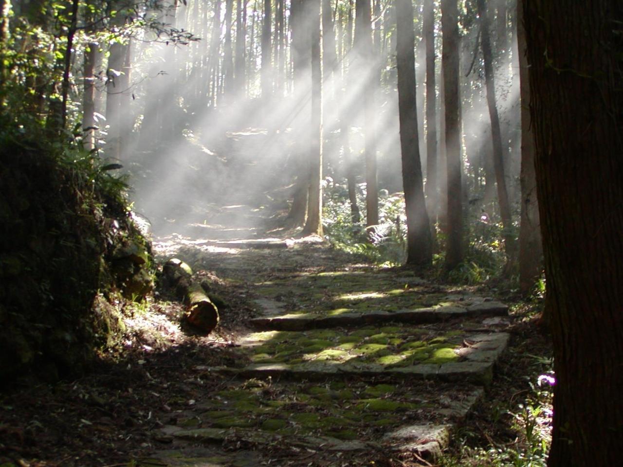 Hotel Nami Kumano Kültér fotó